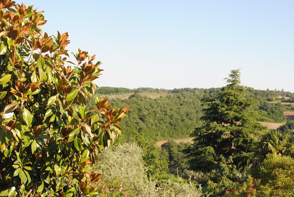 Il Gelsomino Del Perugino Villa Città della Pieve Exterior photo